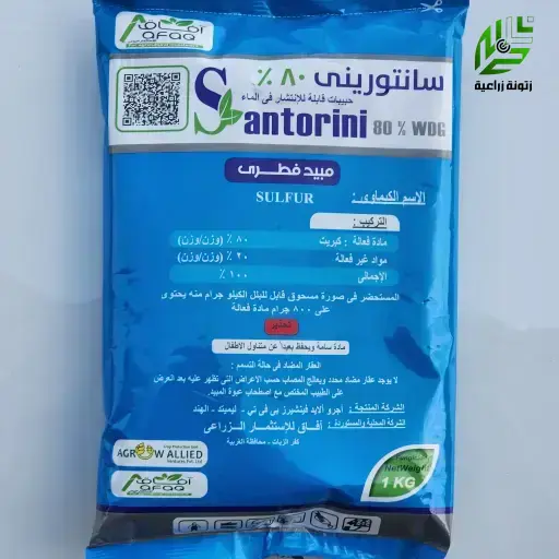 سانتوريني 80 % كبريت ميكروني هندي