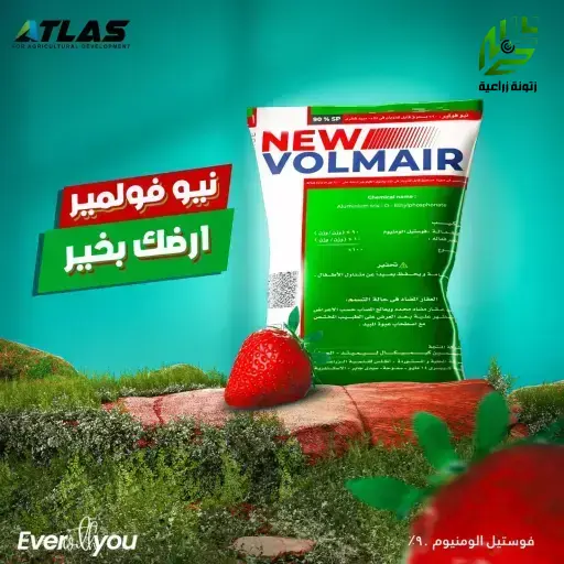 نيو فولمير 90 % فوستيل الألومنيوم مبيد فطري 900جم