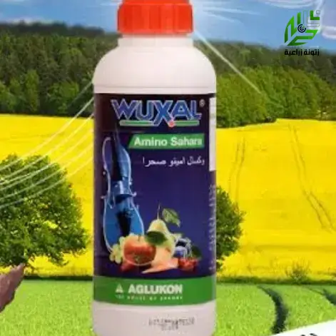 وكسال امينو مغذي عام ورافع إجهاد