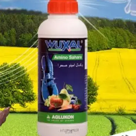 وكسال امينو مغذي عام ورافع إجهاد
